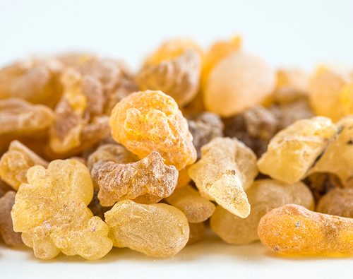 Boswellia Serrata - Ingredients: Herbs