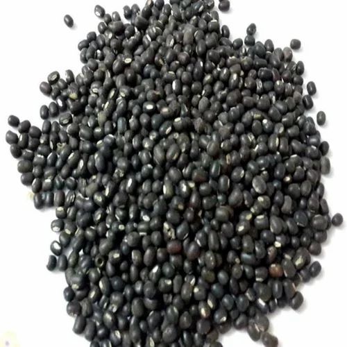 Black Sabut Urad Dal
