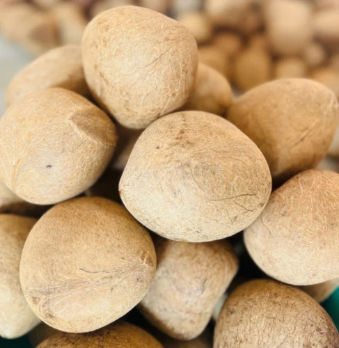 Premium Quality Coconut Copra