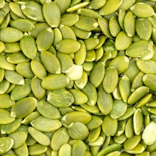 Pumpkin Seeds - Green Color Natural Drying Process | Food Grade Edible Hybrid Variety 1 Year Shelf Life