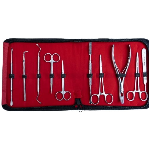 Surgical tools