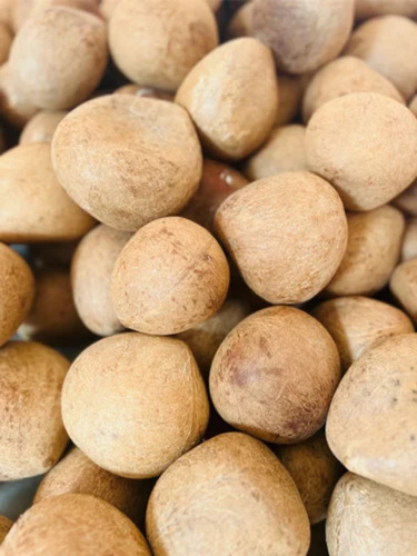 Whole Natural Dry Coconut Copra