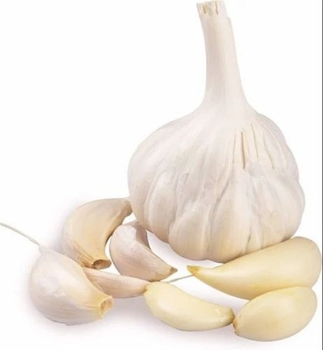 A Grade Organic Medium Garlic