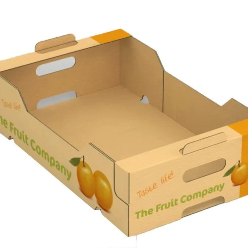 Fruit Packaging Boxes