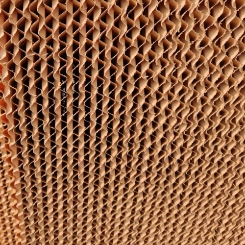Honeycomb Pad