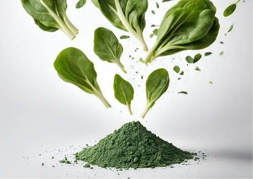 Dehydrated Spinach Powder