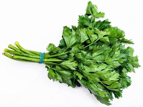 Fresh Celery Leaves