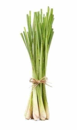 Fresh Lemongrass Leaves