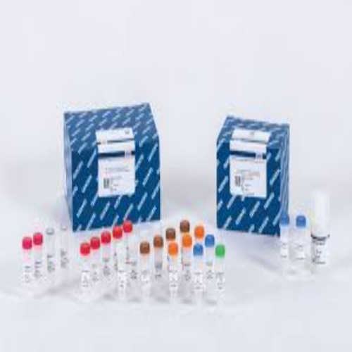 Polypropylene Columns 5ml
