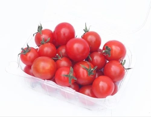 Red Cherry Tomato