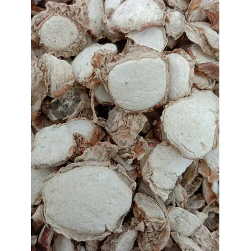 Kapoor Kachri Root