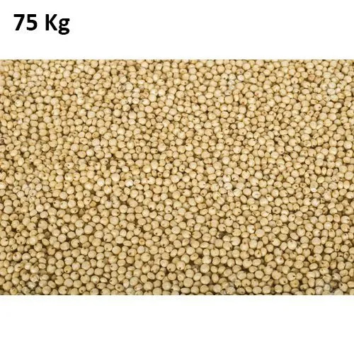 Pearl Millets - Admixture (%): 99%