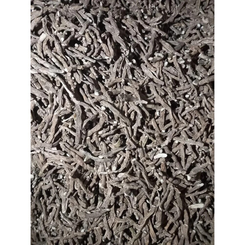 अकोरस कैलामस जड़