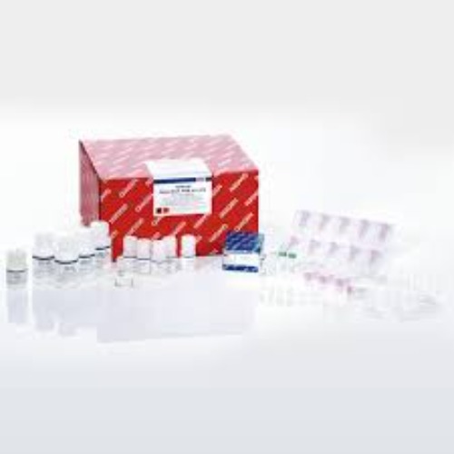 AllPrep Bact. DNA/RNA/Protein Kit