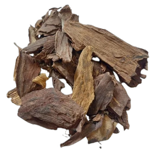 Terminalia Arjuna Extract Root