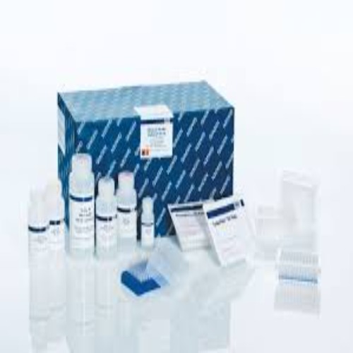 AllPrep Fungal DNA/RNA/Protein Kit