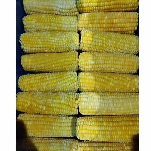 Fresh Sweet Corn