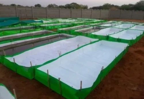 Hdpe Azolla Bed 9 X 4 X 1