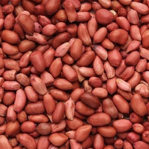 groundnut seeds