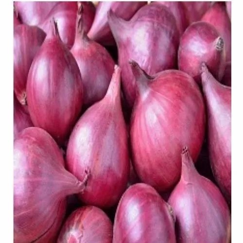 Red Onion
