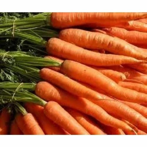 Fresh Organic Carrot