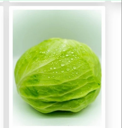 Cabbage