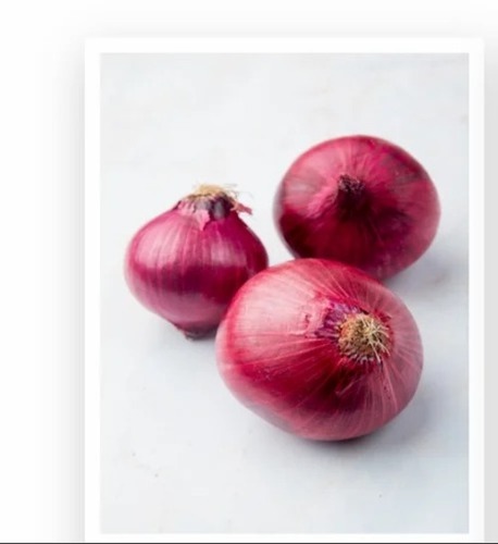 Onion