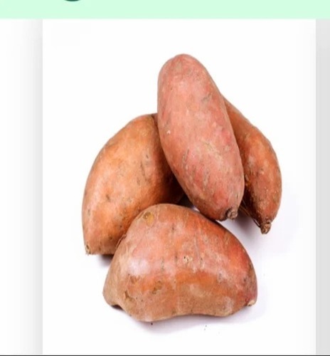 Sweet Potato