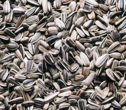 Black Sunflower Seeds