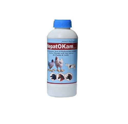 Hepatokam Liquid Veterinary Liver Tonic