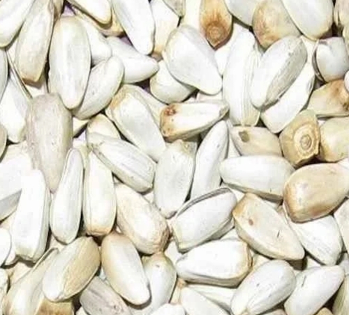 Kusub Safflower Seeds