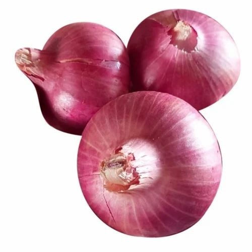 Medium Red Onions