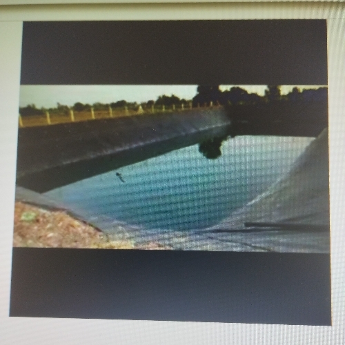 Pond Liner