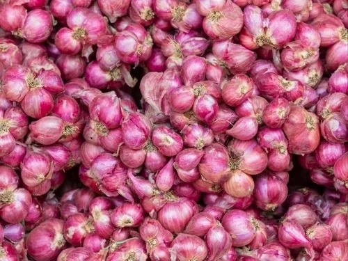 Red Onion