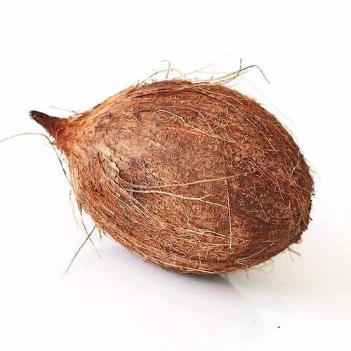 Small Husked Coconut