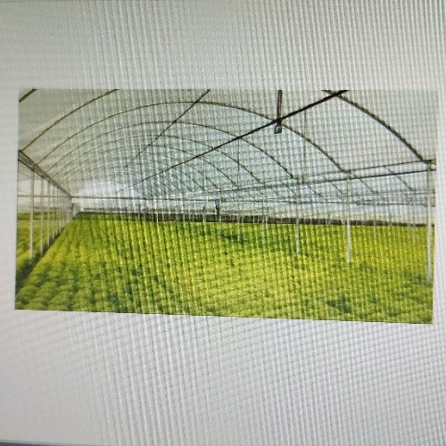 UTV Stabilized Films