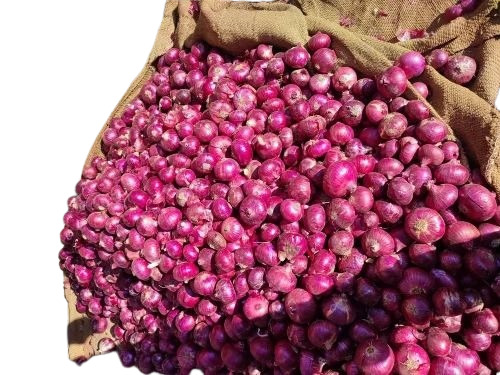 pink onion