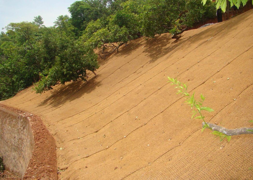 Coir GeoTextile