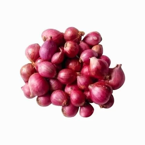 Fresh Red Shallots Onion