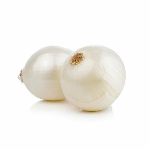 Fresh White Onion