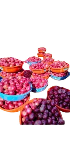 Medium Pink Onion