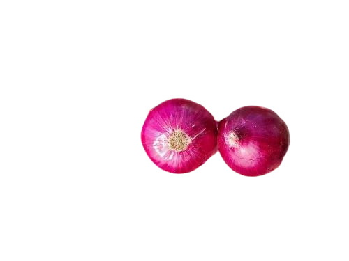 Nashik Fresh Onion