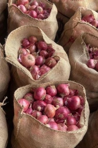 Natural Fresh Onion