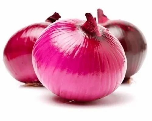 Shallots Onion