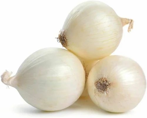 White Fresh Onion