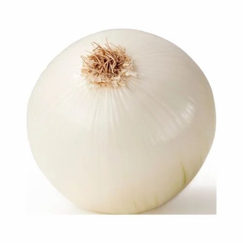 White Onion