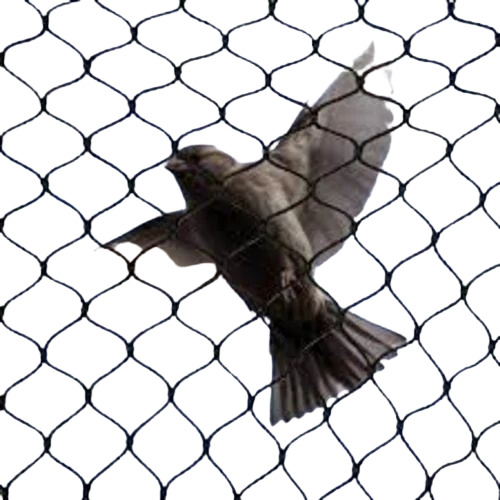Bird Fencingwire Net