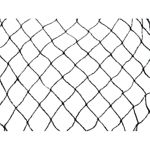 Black Anti Bird Net