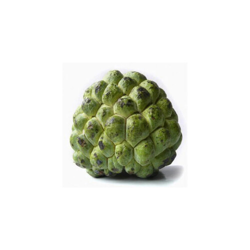 Custard Apple