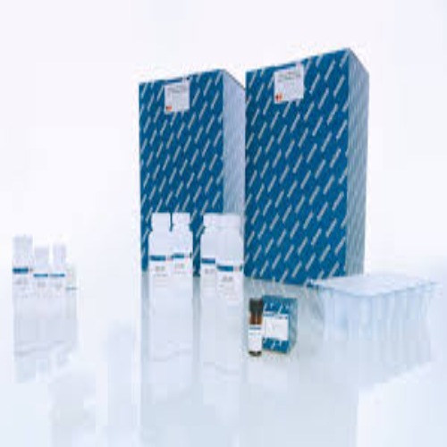 QIAamp DNA Blood Mini QIAcube Kit